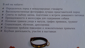 Raamat (6 foto / 9)