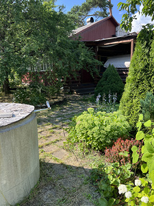 Suvila Zare's, Narva lähedal (14 foto / 21)