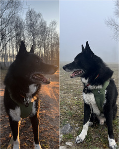 Rejs MEKLĒ MĀJAS! (2 foto no 9)