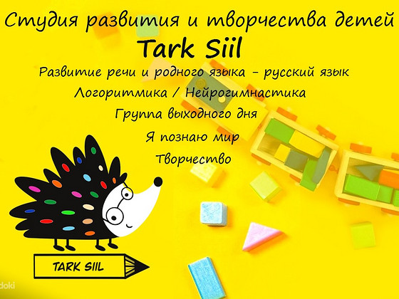 Развивающие занятия с детьми (Таллинн)