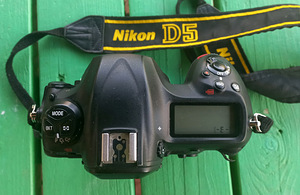 NIKON D5 (1 фото из 4)