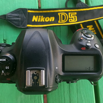 NIKON D5