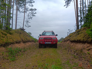 Ford Maverick (13 фото из 15)