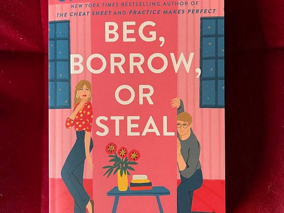 Sarah Adams - Beg, Borrow or Steal (книга ENG)