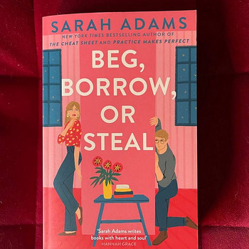 Sarah Adams - Beg, Borrow or Steal (book ENG)
