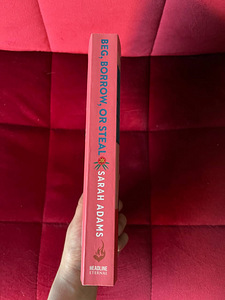 Sarah Adams - Beg, Borrow or Steal (book ENG) (3 foto / 4)