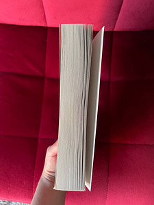 Sarah Adams - Beg, Borrow or Steal (book ENG) (4 foto / 4)