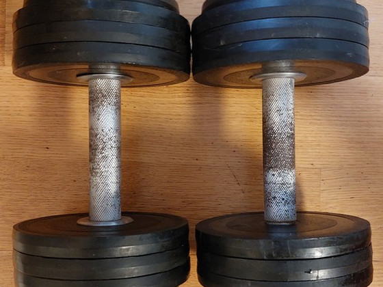 Гантели олимпийские 2x12 kg