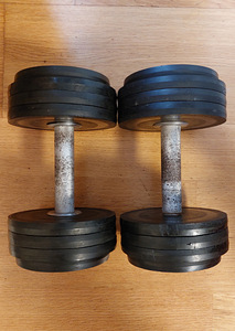 Hantlid 2x12 kg Olümpia (1 foto / 2)