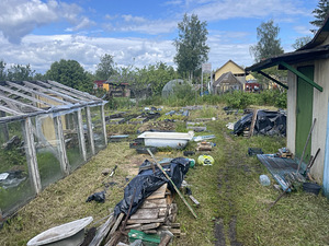 Lemmaru Suvila (5 foto / 5)