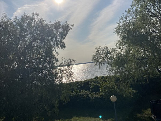 Suve töö osalise ajaga animaatorina