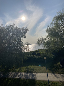 Suve töö osalise ajaga animaatorina (1 foto / 1)