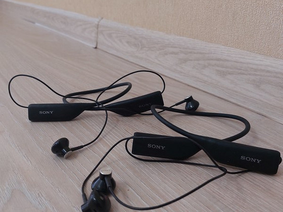 Sport Беспроводные наушники Sony SBH70 Black