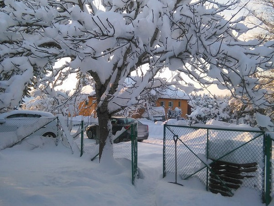 Kuku tn 19, Aespa, Kohila vald, Raplamaa