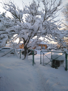 Kuku tn 19, Aespa, Kohila vald, Raplamaa (1 foto / 41)
