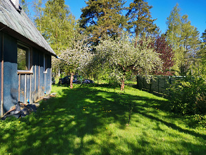 Kuku tn 19, Aespa, Kohila vald, Raplamaa (12 foto / 41)