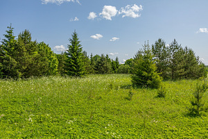Lohu, Kohila vald, Raplamaa (7 foto / 9)