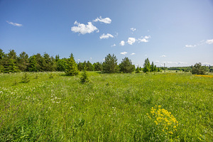 Lohu, Kohila vald, Raplamaa (8 foto / 9)