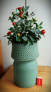 Keraamika ENSV-Põrandavaas (kõrgus 30 cm) (10 foto / 10)