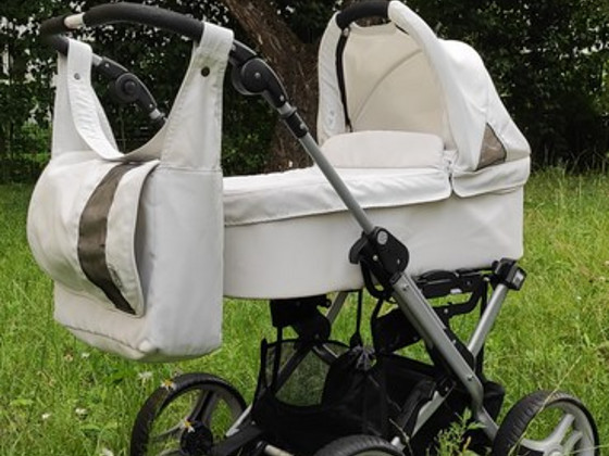 Детская коляска Teutonia Mistral P