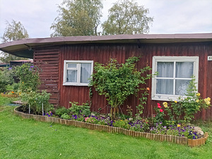 Kure tee 37, Kallavere, Jõelähtme vald, Harjumaa (1 фото из 16)