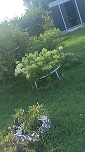 Kure tee 37, Kallavere, Jõelähtme vald, Harjumaa (2 фото из 16)