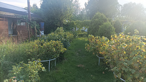 Kure tee 37, Kallavere, Jõelähtme vald, Harjumaa (7 фото из 16)
