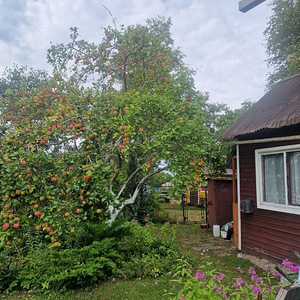 Lohe tee 22, Ülgase, Jõelähtme vald, Harjumaa (12 foto / 13)