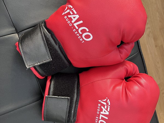 Боксерские перчатки 10oz Falco