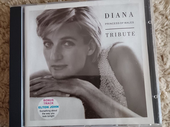 CD PLAAT