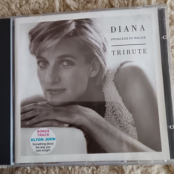 CD PLAAT