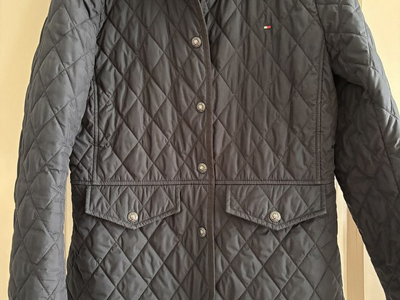 Tommy hilfiger
