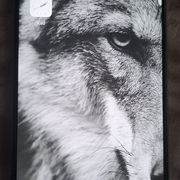 Huawei nova 10 SE