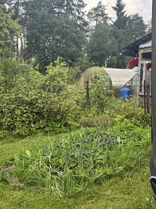 Hämariku tn, Rummu, Lääne-Harju vald, Harjumaa (11 foto / 29)