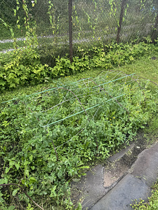 Hämariku tn, Rummu, Lääne-Harju vald, Harjumaa (25 foto / 29)