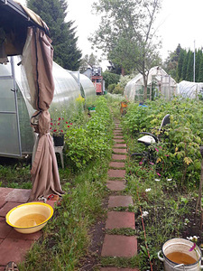 Müüa suvila krunt (2 foto / 10)