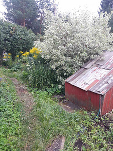 Müüa suvila krunt (4 foto / 10)