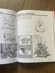 Самоучитель рисования (2 фото из 5)