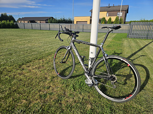 Maanteeratas Merida Scultura evo 909 (raam L) (1 foto / 2)