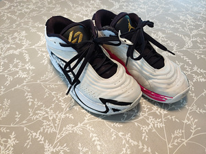 Кроссовки для баскетбола AIR Jordan (1 фото из 4)