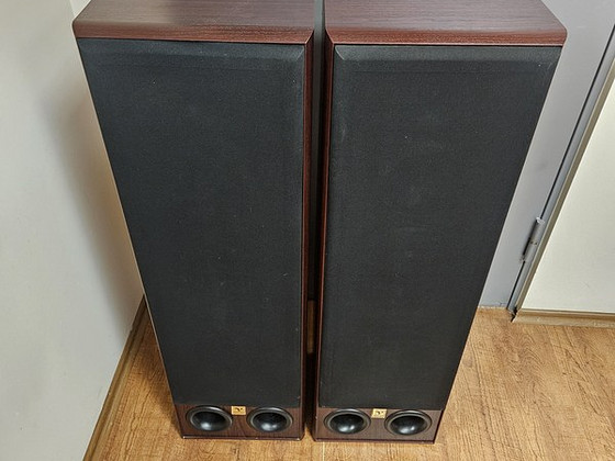 Proson Twin 1000 V-Series HiFi напольные колонки