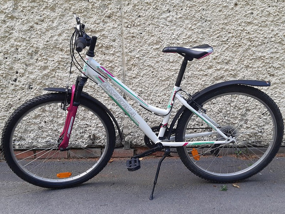 Esperia MTB Mighigan 26"