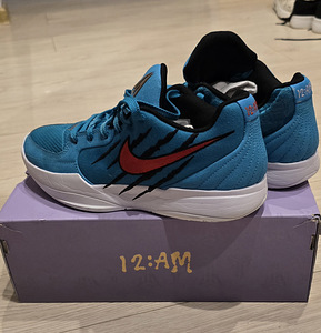 Nike 2 scratch 43 korvpallijalatsid (6 foto / 6)