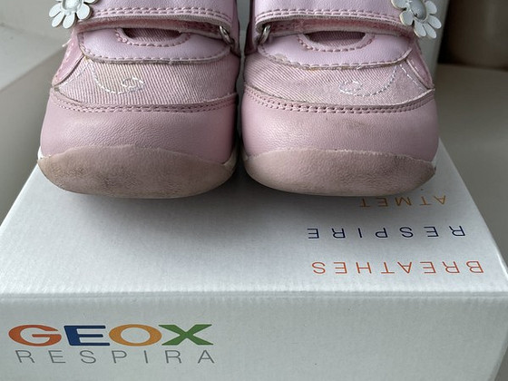 Geox kingad s24