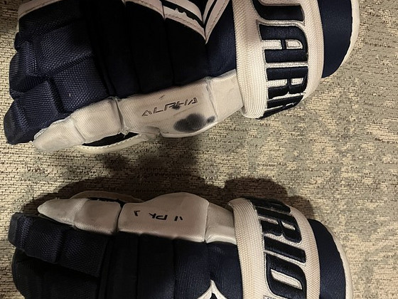 Warrior Alpha