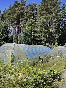 Laane, Kahala, Kuusalu vald, Harjumaa (7 foto / 16)
