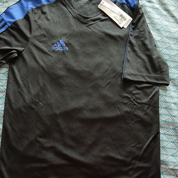 Spordisärk 176