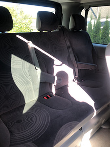 Renault Trafic (6 фото из 8)