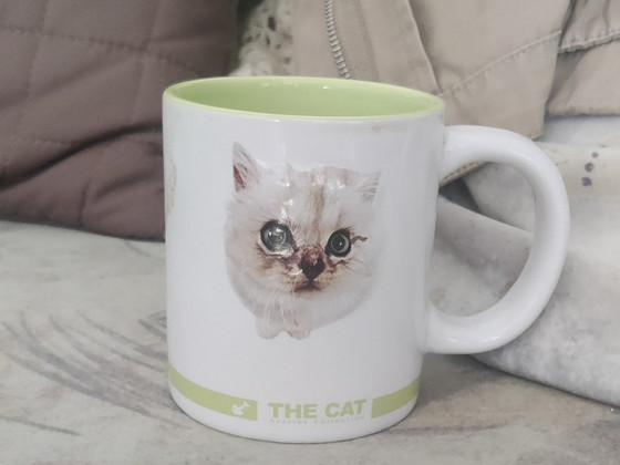 Кружка с котиком