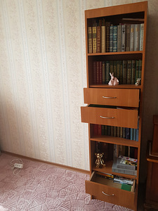 Riiul (1 foto / 3)